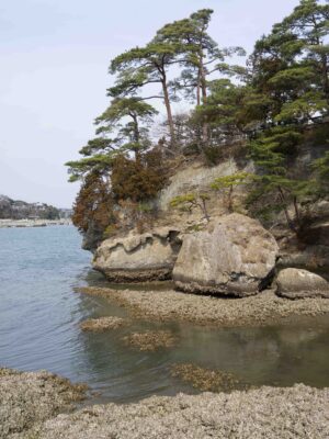 Japan Day 10: Matsushima & Fukuura Island